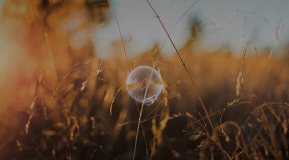 Eine Seifenblase schwebt über hohem Gras und zeigt ein vergängliches Schauspiel der Natur.