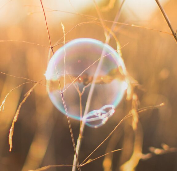 Eine Seifenblase schwebt über hohem Gras und zeigt ein vergängliches Schauspiel der Natur.